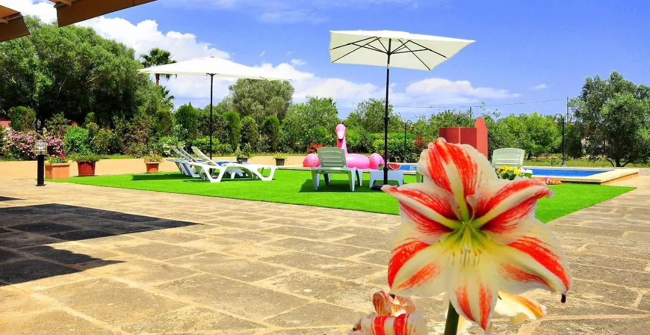Villa Mallorca Paradise Llucmajor