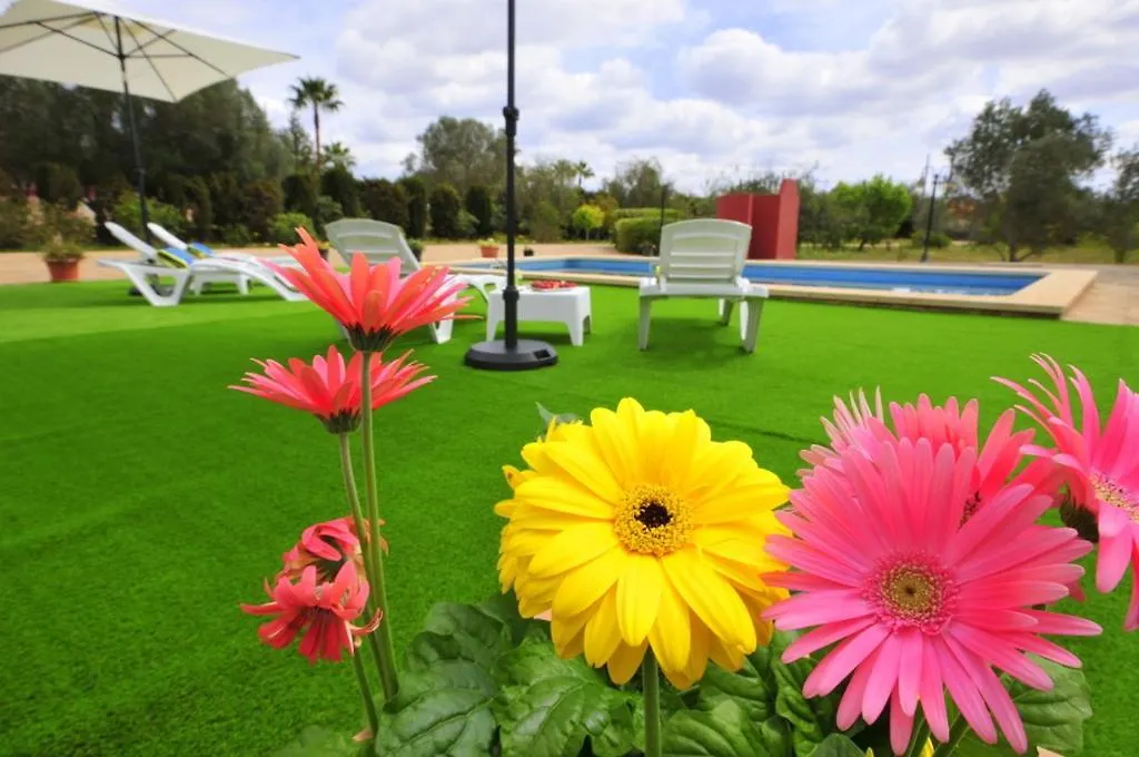 Villa Mallorca Paradise Llucmajor